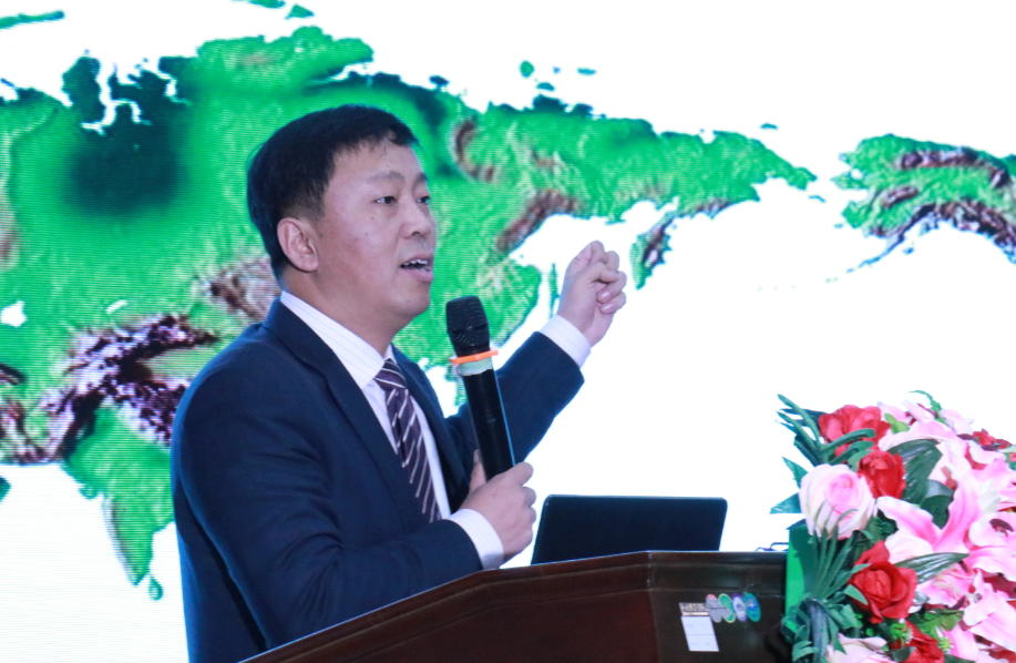 星空官方網(wǎng)頁版