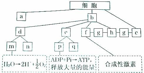 如圖為植物光合作用強度隨光照強度變化的坐標(biāo)圖.已知該植物光合作用和細(xì)胞呼吸最適溫度分別為25 和30 .下列敘述不正確的是 a.c點atp的合成大于水解.有機(jī)物積累b