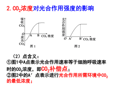 影響光合作用強度的環(huán)境因素課件.ppt