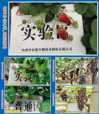 【產品推薦】改良土壤、預防病害,就選硅鈣鎂中微肥系列